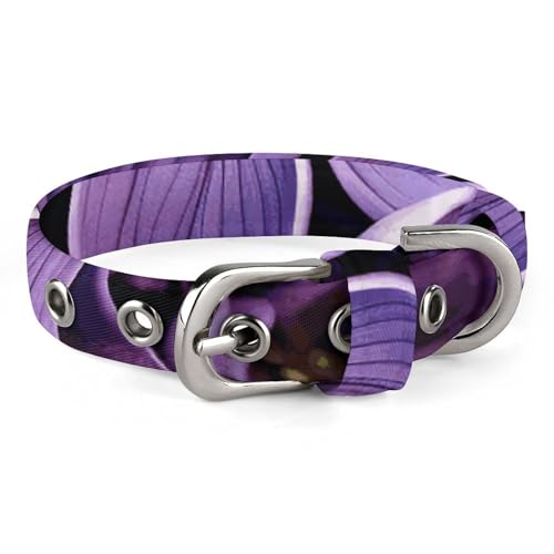 Hundehalsband mit Blumenmuster, mit Schnalle, verstellbar, Sicherheitshalsband für kleine und mittelgroße Hunde, breites Hundehalsband von NONHAI