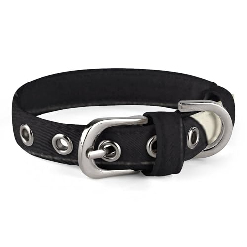 Hundehalsband mit Schnalle, gestreift, niedlich, verstellbar, Sicherheitshalsband für kleine und mittelgroße Hunde, breites Hundehalsband von NONHAI