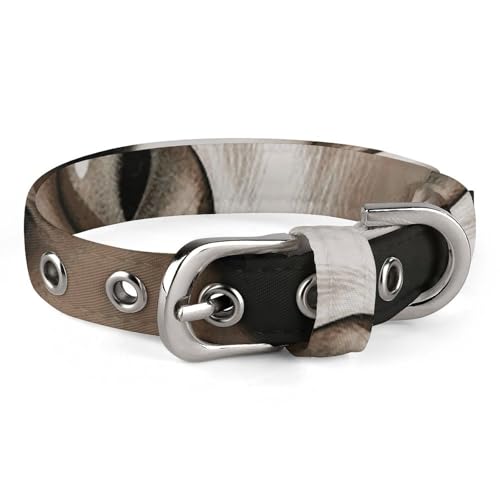 Hundehalsband mit Schnalle, niedliche Haustier-Halskette, verstellbar, Sicherheitshalsband für kleine Hunde, mittelgroße Hunde, breites Hundehalsband von NONHAI