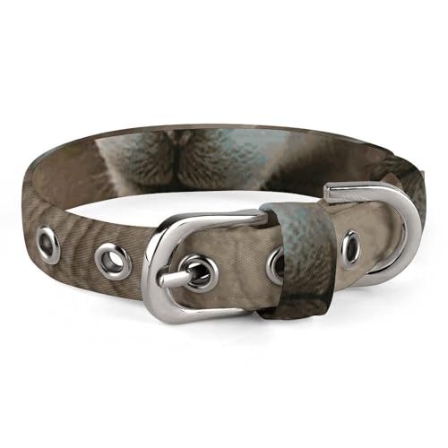 Hundehalsband mit Schnalle, niedliches Haustierhalsband, verstellbar, Sicherheitshalsband für kleine und mittelgroße Hunde, breites Hundehalsband von NONHAI