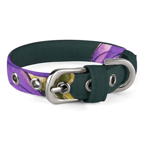 Hundehalsband mit Schnalle, violett, Schmetterlinge, niedliche Haustier-Halskette, verstellbar, Sicherheits-Halsband für kleine und mittelgroße Hunde, breites Hundehalsband von NONHAI