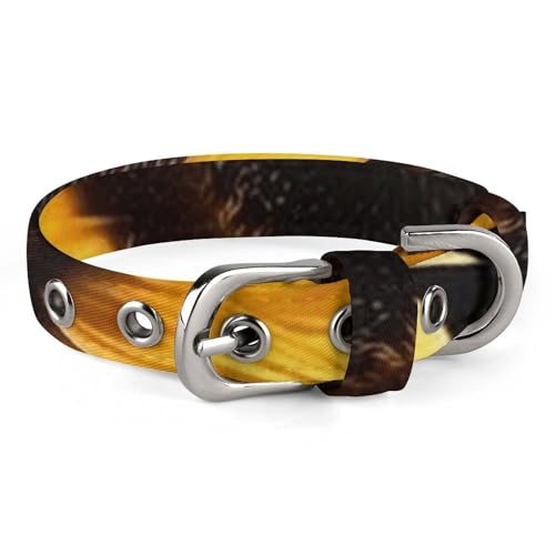 Hundehalsband mit Sonnenblume auf schwarzem Hintergrund, niedliche Haustier-Halskette, verstellbar, Sicherheitshalsband für kleine und mittelgroße Hunde, breites Hundehalsband von NONHAI