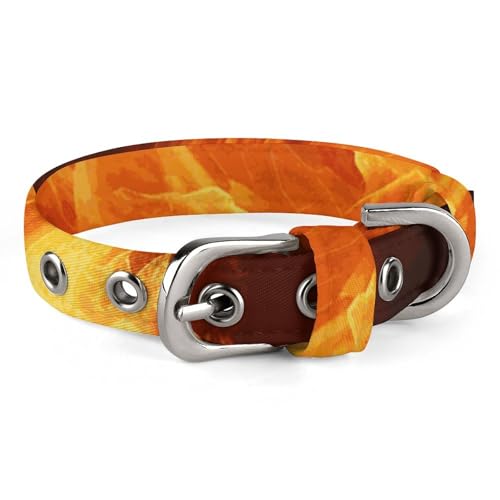 Hundehalsband mit brüllender Flamme, niedliche Haustier-Halskette, verstellbar, Sicherheitshalsband für kleine und mittelgroße Hunde, breites Hundehalsband von NONHAI