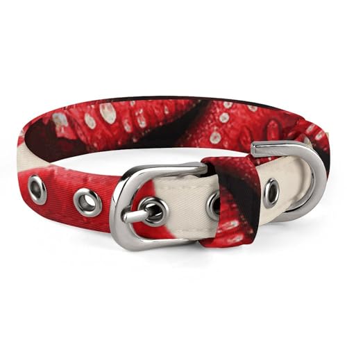 Hundehalsband mit roter Rose und Schnalle, niedliche Haustier-Halskette, verstellbar, Sicherheitshalsband für kleine und mittelgroße Hunde, breites Hundehalsband von NONHAI