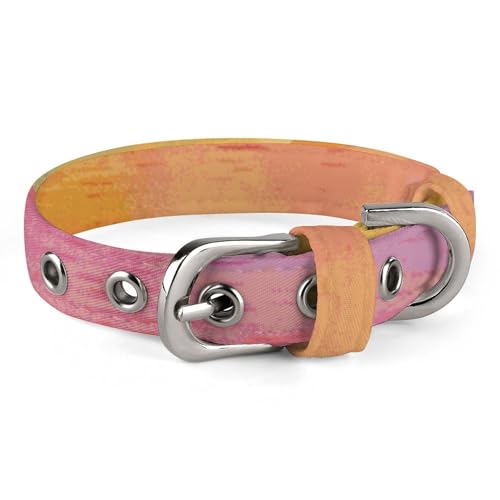 Regenbogen-Hundehalsband mit Schnalle, niedliche Haustier-Halskette, verstellbar, Sicherheitshalsband für kleine und mittelgroße Hunde, breites Hundehalsband von NONHAI