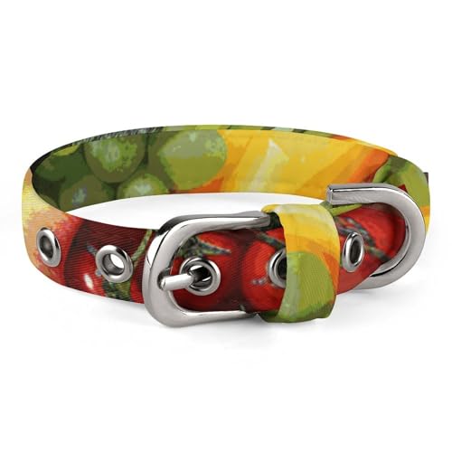 Regenbogen-Hundehalsband mit Schnalle, süßes Haustierhalsband, verstellbar, Sicherheitshalsband für kleine und mittelgroße Hunde, breites Hundehalsband von NONHAI