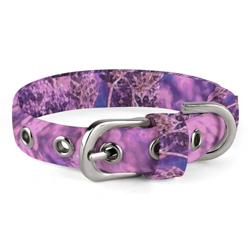 Romantisches Lavendel-Hundehalsband mit Schnalle, niedliche Haustier-Halskette, verstellbar, Sicherheitshalsband für kleine und mittelgroße Hunde, breites Hundehalsband von NONHAI