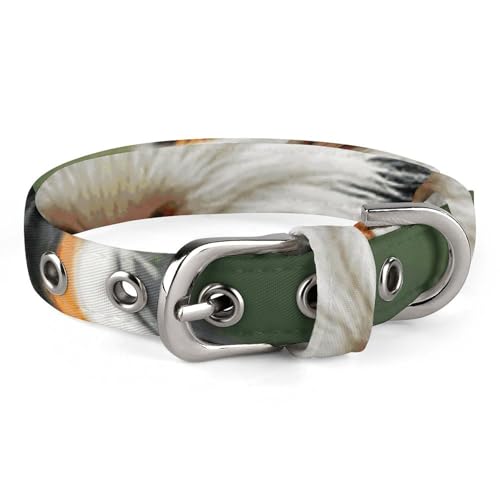 Süßes Guinea-Hundehalsband mit Schnalle, niedliche Haustier-Halskette, verstellbar, Sicherheitshalsband für kleine und mittelgroße Hunde, breites Hundehalsband von NONHAI