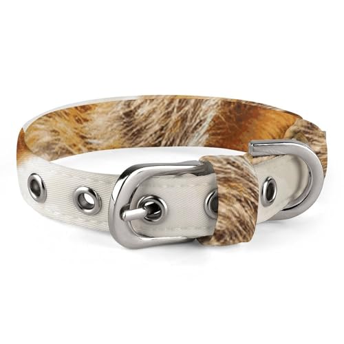 Wild Erdmännchen-Hundehalsband mit Schnalle, niedliche Haustier-Halskette, verstellbar, Sicherheits-Halsband für kleine und mittelgroße Hunde, breites Hundehalsband von NONHAI