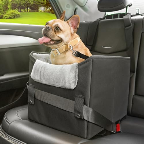 NOVOLAB Hundeautositz für kleine Hunde oder mittelgroße Hunde, tragbarer Autositz für Hunde mit Geschirr und dickem Kissen, perfekt für kleine Haustiere bis zu 11,3 kg (Schwarz) von NOVOLAB