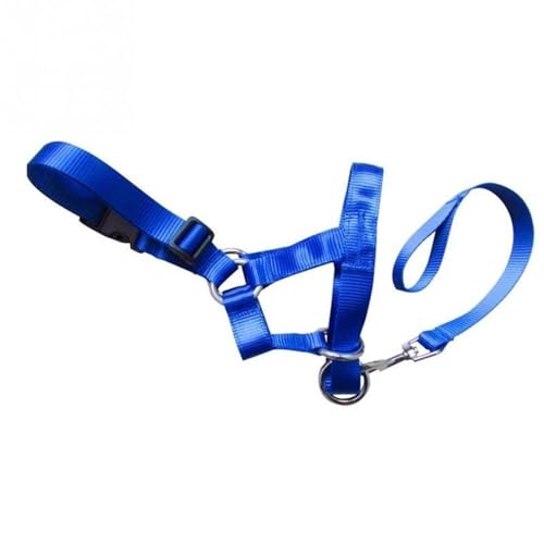 Hund Anti Bark Biss Kopf Leine Nylon Training Halfter Halsband Kein Ziehen Sicheres Mundgeschirr stoppt Ziehen (Farbe: Blau, Größe: XXL) von NOVSKI