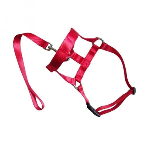 Hund Anti Bark Biss Kopf Leine Nylon Training Halfter Halsband Kein Ziehen Sicheres Mundgeschirr stoppt Ziehen (Farbe: Rot, Größe: XXL) von NOVSKI