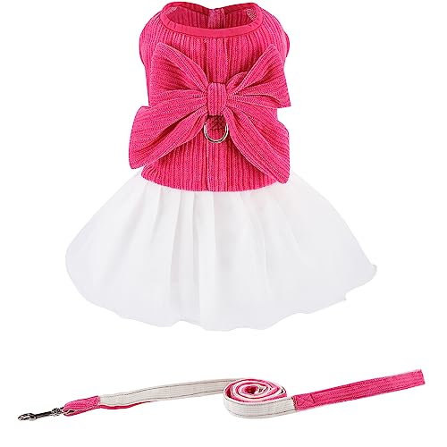 Niedliches Hundegeschirr mit Leine, für kleine und mittelgroße Hunde, Haustier-Outfit, Prinzessin, Fliege, Cord, Kleidung für Geburtstag, Braut, Urlaub, Halloween, Party, Kostüm (Rose, S) von NOWDER