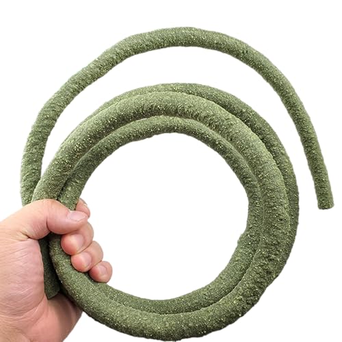 NPXUAMTJ Reptilien Eckpflanze Blätter Terrarium Fischtanks Landschaftsgestaltete Dekoration Für Bärtige Drachen Eidechsen Eidechsen Klettern Rebe Klettern NPXUAMTJ Reptilien Eckpflanze Blätter Terrarium Fischtanks Landschaftsgestaltete Dekoration Für Bärtige Drachen Eidechsen Eidechsen Klettern Rebe Klettern von NPXUAMTJ