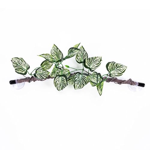 NPXUAMTJ Reptilien Eckpflanze Blätter Terrarium Fischtanks Landschaftsgestaltete Dekoration Für Bärtige Drachen Eidechsen Realistischer Baumzweige Für Terrarien NPXUAMTJ Reptilien Eckpflanze Blätter Terrarium Fischtanks Landschaftsgestaltete Dekoration Für Bärtige Drachen Eidechsen Realistischer Baumzweige Für Terrarien von NPXUAMTJ