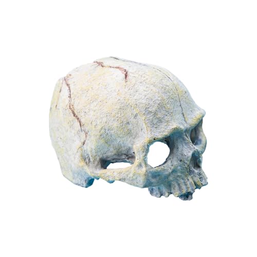 NPXUAMTJ Schädel Figur Reptilien Verstecke Höhle Fischtank Dekorative Accessoires Für Varoius Amphibianer Terrarien Landschaftsverzierung NPXUAMTJ Schädel Figur Reptilien Verstecke Höhle Fischtank Dekorative Accessoires Für Varoius Amphibianer Terrarien Landschaftsverzierung von NPXUAMTJ