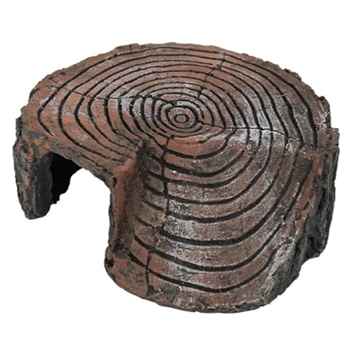 NPXUAMTJ Terrarien, Sonnenplattform, Aquarien, Dekoration, Landschaftsbau, Ornament, Reptilien, Unterschlupf, Höhle für Fische und Garnelen, Aquarien, Dekorationen NPXUAMTJ Terrarien, Sonnenplattform, Aquarien, Dekoration, Landschaftsbau, Ornament, Reptilien, Unterschlupf, Höhle für Fische und Garnelen, Aquarien, Dekorationen von NPXUAMTJ