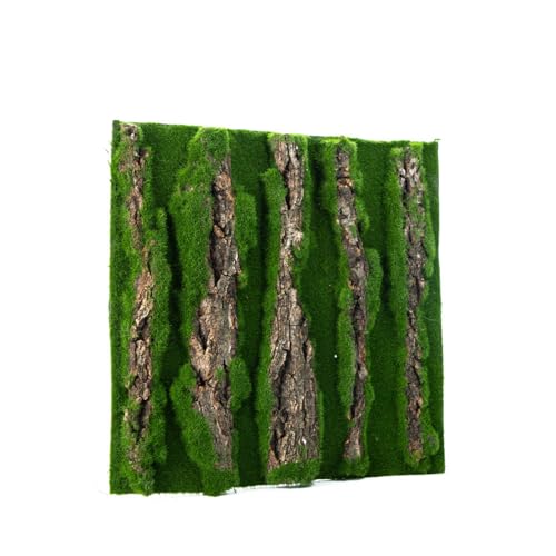 NPYQ Natürliches Sicheres Rinde Backdrop Panel Mit Künstlichem Für Reptilienlebensräume Und Home Terrarium Wasserdicht Und Schimmelbeweis von NPYQ