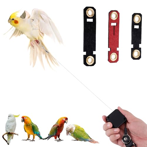 Einziehbar Vogel Leine, 2m Vogel Geschirr mit 3 Fußringen Sittich Fluggeschirr Papageien Leine Outdoor Flugtrainingsset für Nymphensittiche Wellensittiche Sittiche (Schwarz) von NQEUEPN