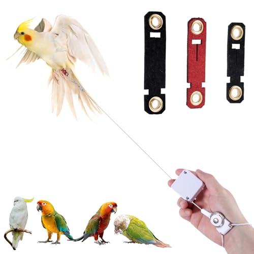 Einziehbar Vogel Leine, 2m Vogel Geschirr mit 3 Fußringen Sittich Fluggeschirr Papageien Leine Outdoor Flugtrainingsset für Nymphensittiche Wellensittiche Sittiche (Weiß) von NQEUEPN