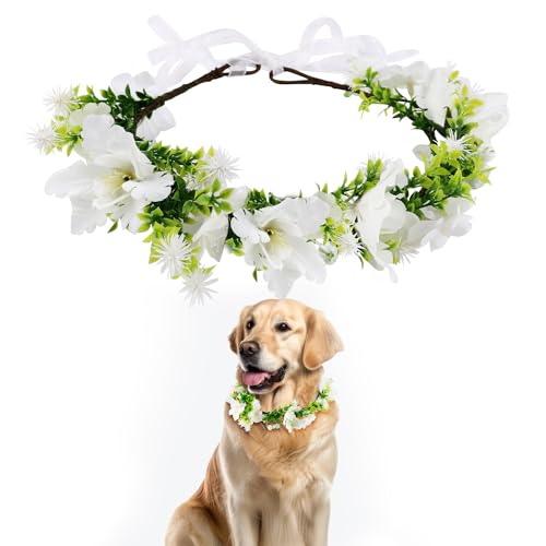 Hunde Hochzeits Blumenhalsband, Hochzeitskleidung Blumenkranz Schleife Haustier Blumenring, für Foto Requisiten von NQEUEPN