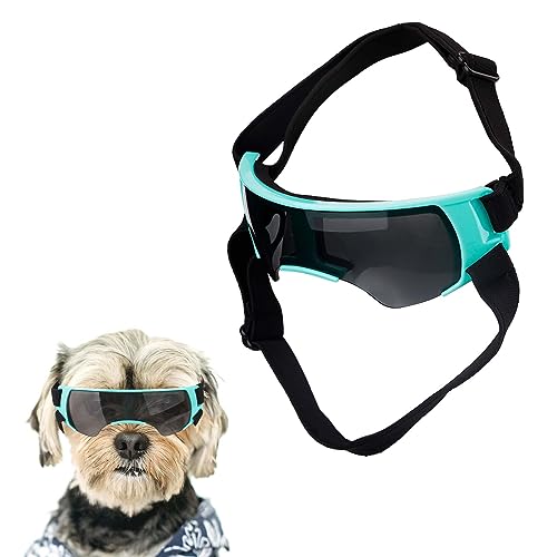 NQEUEPN Hundebrille für Kleine Hunde, Winddicht Hundesonnenbrille mit Verstellbarem Riemen Welpen-Sonnenbrille für Kleine Mittelgroße Hunde Augenschutzbrille für Outdoor Reiten Autofahren (Blau) von NQEUEPN