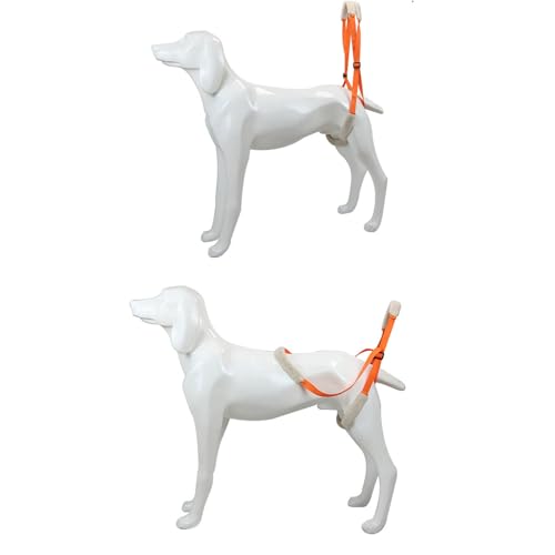 2-teiliger Hundegurt für große Hunde, Hinterbeinstütze, weiches Korallenvlies, Hundegeschirr zur Unterstützung des Hinterbeins mit Verstellbarer Schnalle für Hunde mit (Orange) von NSXAYIWE