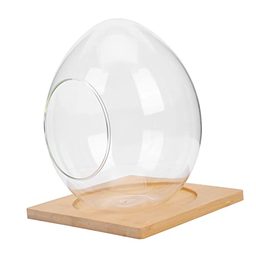 NULYLU 1 Satz Eiförmige Glasflasche Hydrokulturterrarium selber Bauen Blumenvase Tischdekoration wohnzimmerdeko inneneinrichtung ökologische Glasflasche hydrokulturpflanzen Terrarium Holz von NULYLU