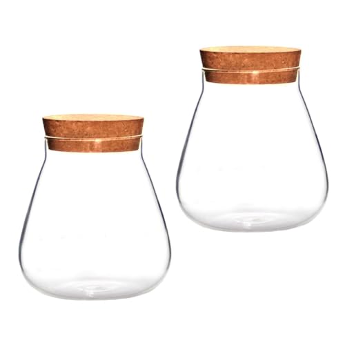 NULYLU 2 Stück Korkglasflasche Terrarium Pflanzen Glas Terrarium Hydrokultur Pflanzgefäß Desktop Flasche Mikro Landschaft Terrarium Mikro Landschaft Flasche Dekorative Vase Topf Holz von NULYLU