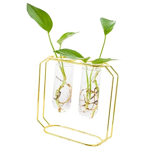 NULYLU Set Aus 2 Metall Eisen Kunst Glasvasen Für Stilvolle Pflanzenarrangements Terrarium Glas Pflanzgefäß Ideal Für Tischdeko Hydrokultur Wohnzimmer Und Büro von NULYLU