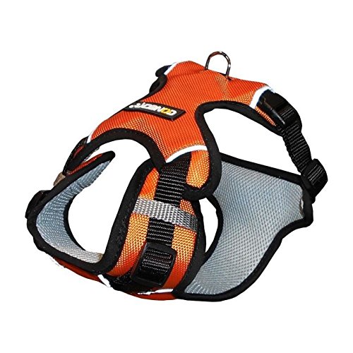 NUM'AXES Harnais Sport Coneck'T - L : 80-105cm - Orange - Pour Chien von NUM'AXES