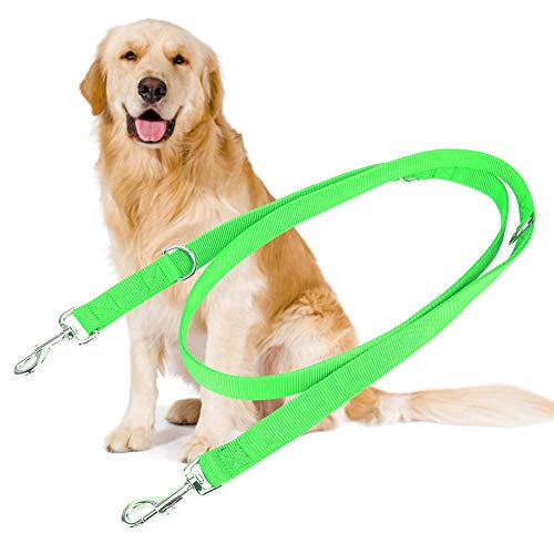 2 m Doppelschnalle Nylon Flexibler Hund Walking -Leinen -Traktionsseil mit Kette für große Hunde (2,5 cm*200 cm) von NUMNBE