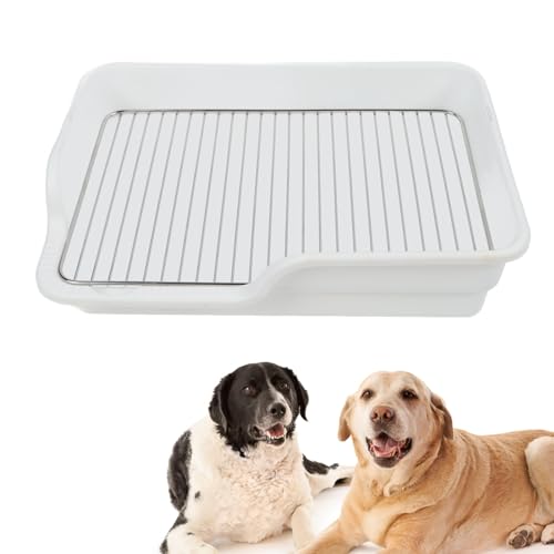 Hundeköpfchenschale mit Edelstahlnetz - leicht zu reinig zu reinigendem Verschüttungs -Proof -Trainingstoilette für kleine und mittlere Hunde, Hundepee -Pad -Halter für den (White) von NUMNBE