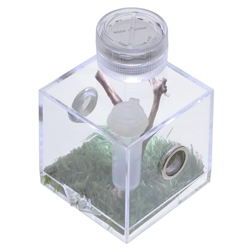 Kasten Springspinnen-zuchtbox Sprungspinnengehege Frosch Springspinnen-Terrarium Springender Spinnenkäfig Lampe Aquariumzubehör Spinnenlandschaftskäfig Versteck Reptil Tank Holz NUOBESTY von NUOBESTY