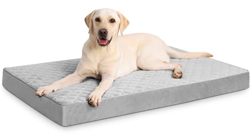 NUPIDA Jumbo-Hundebett für extra große Hunde, orthopädisches Hundebett mit abnehmbarem, waschbarem Bezug und rutschfester Unterseite, gestepptes Hundebett für Kiste, 134 x 91 cm, Hellgrau von NUPIDA