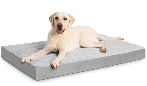 NUPIDA Orthopädisches XL-Hundebett, wasserdicht, mit abnehmbarem, waschbarem Bezug und rutschfester Unterseite, gestepptes Hundebett für Kiste, 104 x 68 cm, Hellgrau von NUPIDA