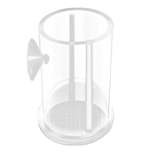 Clear Acrylic Aquarium Fish Feeder Anti-drift Shrimp Fish Food Feeding Fish Feeding Jar Aquarium Accessories Shrimp Feeder Acrylic Shrimp Feeder Tube Shrimp Feeder Clear von NURCIX