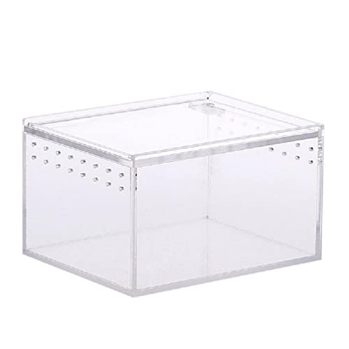 Futterbox Acryl Käfig Klar Design Würfel Container Für Spinnen Eidechsen Schnecke Schildkröten Kleine Haustier Substrate Für Dekorationen von NURCIX