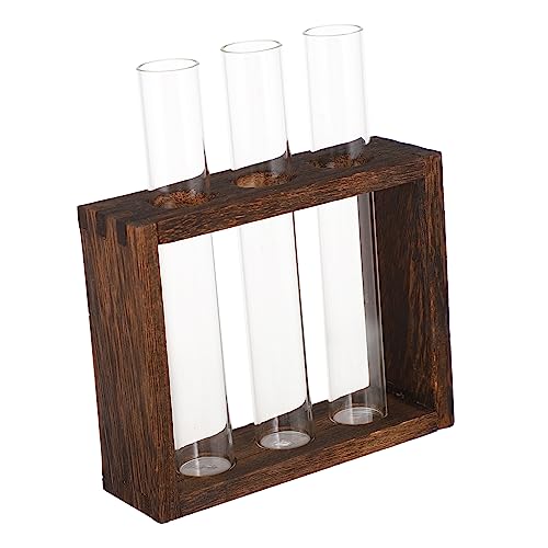 NUSITOU 1 Set Gla Test Tube Vase Desktop Glass Terrarium Glas Pflanzgefäß Glas Vase von NUSITOU