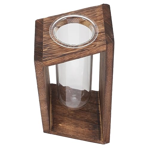 NUSITOU Hängender Übertopf Aus Glas Schreibtischvase Pflanzen-Terrarium-Set Zimmerpflanzen Glas Home-Office- von NUSITOU