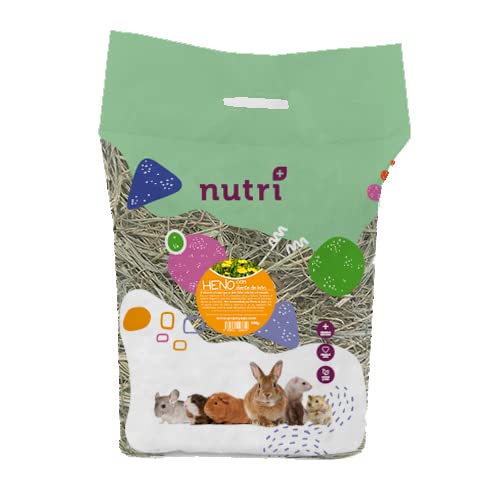 NUTRI+ Heu, mit entwässerten Früchten, 500 g von NUTRI+