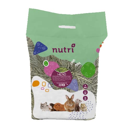 NUTRI+ Heu mit ZANAHORA - 500 g von NUTRI+