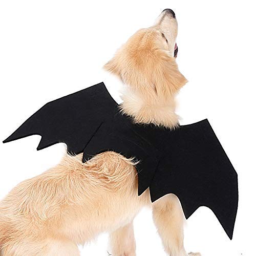 Haustier Halloween Kostüme, Fledermausflügel-Haustierkostüme, Halloween-Kleidung for kleine Hunde, Katzen, Kostüm, Cosplay von NUZBCPETR