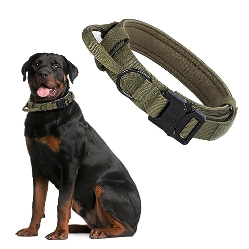 Hundetrainingshalsband, professionelles, hochfestes, verstellbares Haustierhalsband aus Nylon für mittelgroße und große Hunde (L) von NYSUZHOUJI