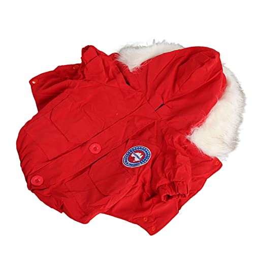 Hundetuherfuhe Wintermäntel lässige, verdickte warme Welpen -Hoodie -Wintermäntel für kleine mittelgroße Hunde Katzen rote Indoor -Outdoor -Aktivitäten (XXL) von NYSUZHOUJI