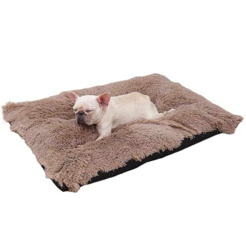 NZDFH Hundebett Katzenbett Flauschig, Hundebetten 70x50cm, Weiche Langer Plüsch, Hundematte Waschbar, rutschfeste Unterseite, Haustierbett für Kleine, Mittelgroße Hunde, Katzen, Kaffee von NZDFH