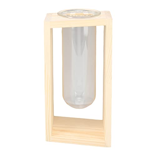 Glas Reagenzglas Anlage Terrarium Innovative Desktop-Pflanze Hydro ponik Pflanzen für Heim dekor. (Log) von Nachukan