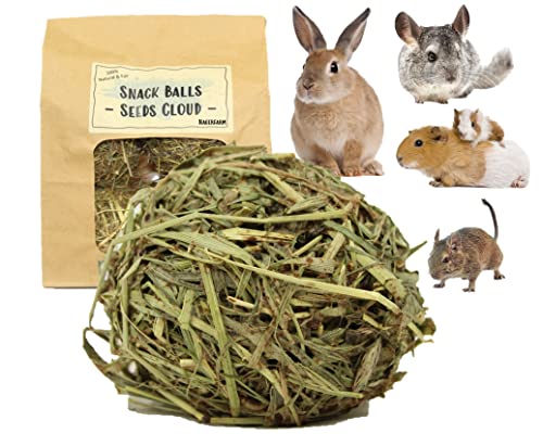 Snack Balls Seeds Cloud - Zutaten aus kontrollierten Anbau - Snack für Meerschweine Zwergkaninchen Chinchilla Degus Hamster von Nagerfarm