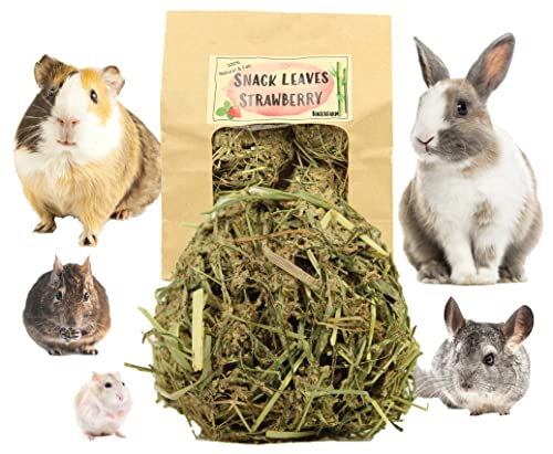 Snack Leaves - Strawberry - Zutaten aus kontrollierten Anbau - mit Bambusfasern - Snack für Meerschweine Zwergkaninchen Chinchilla Degus Hamster von Nagerfarm