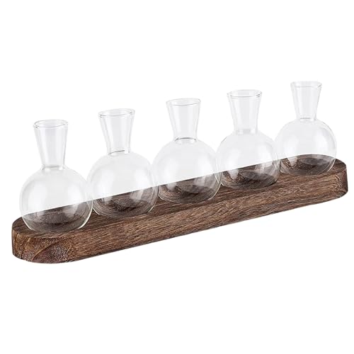 Plant -Terrarium, Propagationsstation 5pcs Terrariumglas mit Holzstand, Pflanzenterrarium Desktop Clear Glass Vase, Innenhydroponik -Glühbirnen -Vase -Pflanzer für Bürodekoration von Naisicatar